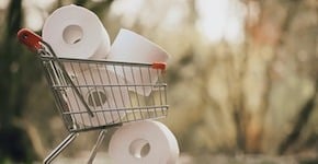 A miniature shopping cart filled with rolls of toilet paper.