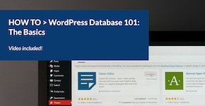 A laptop is open to a WordPress website's plugin page. Text overlay reads: How To: WordPress Database 101: The Basics